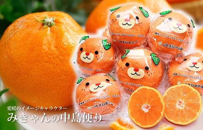 日本车牌都有什么,日本的车牌号有什么