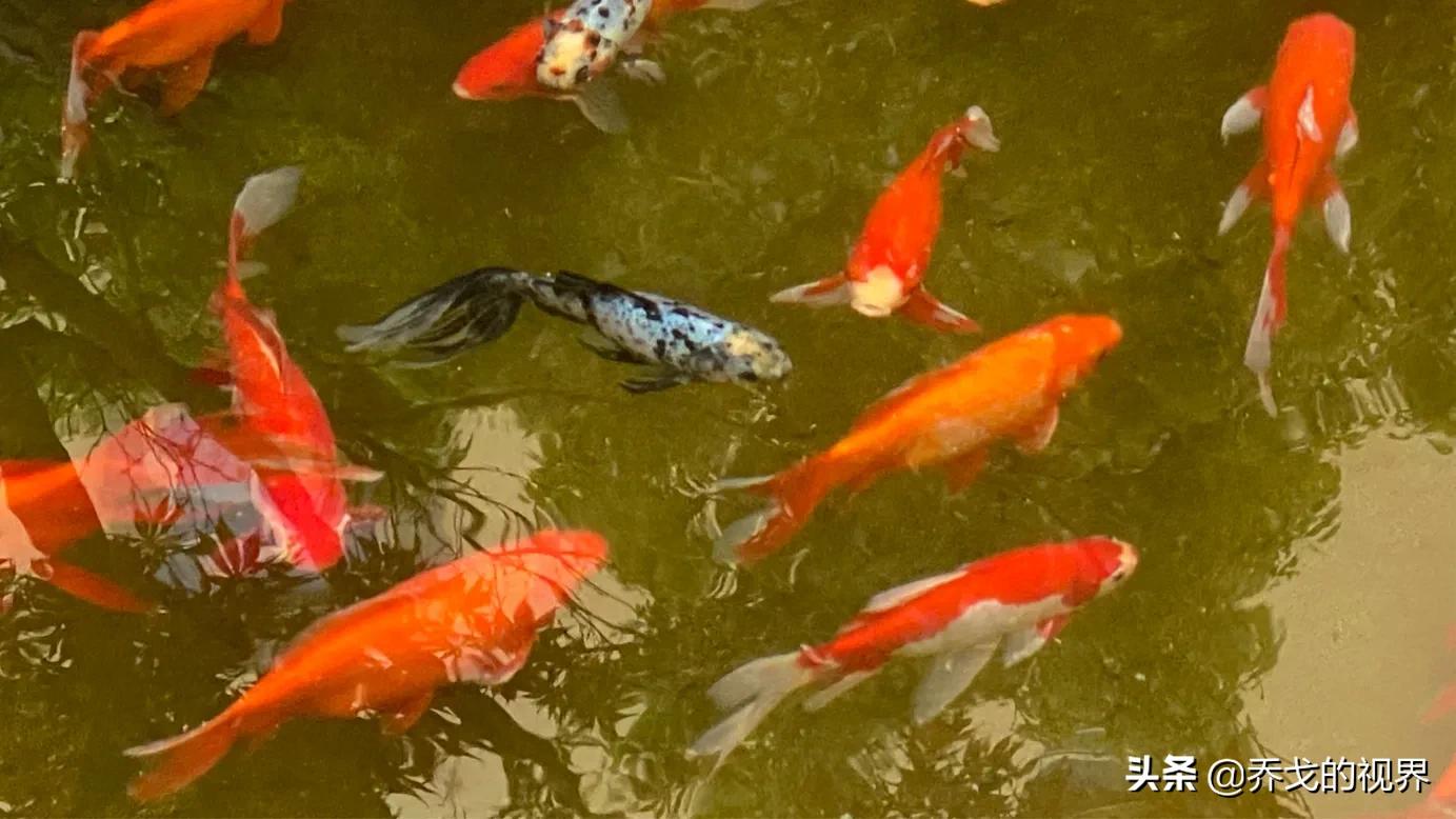 兰山区利群医院,织金利群医院