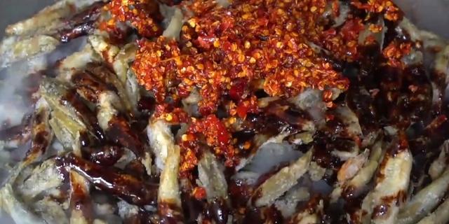 美女辞掉月薪4000的工作卖小吃,美女辞掉月薪4千工作卖小吃