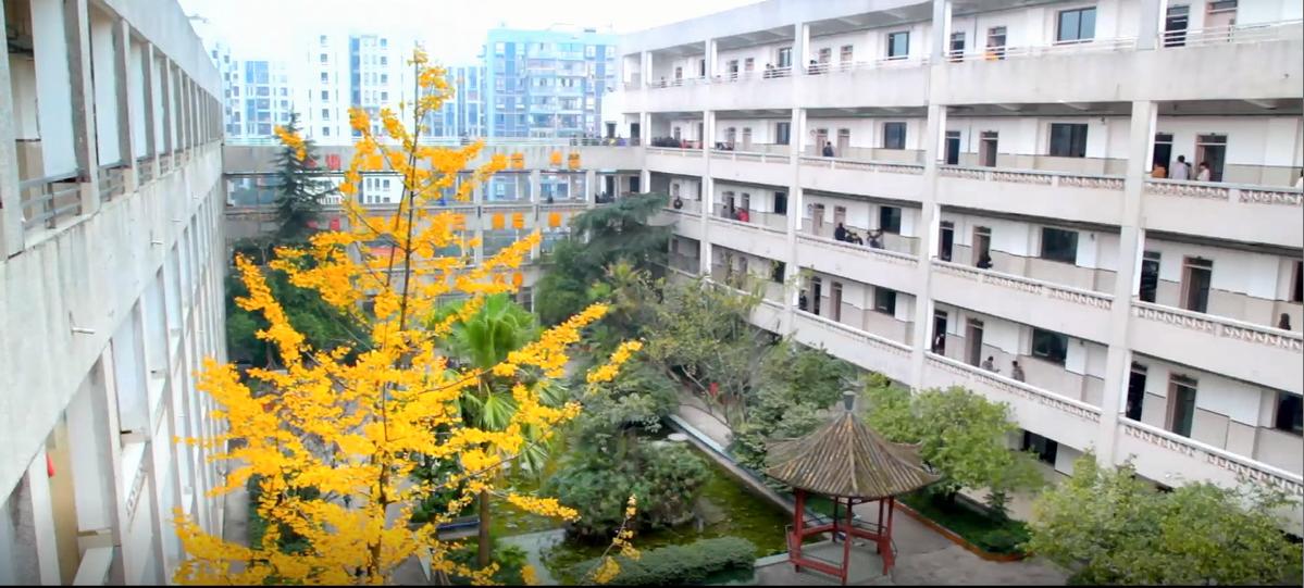 重庆哪所学校环境最好,重庆环境最差的学校