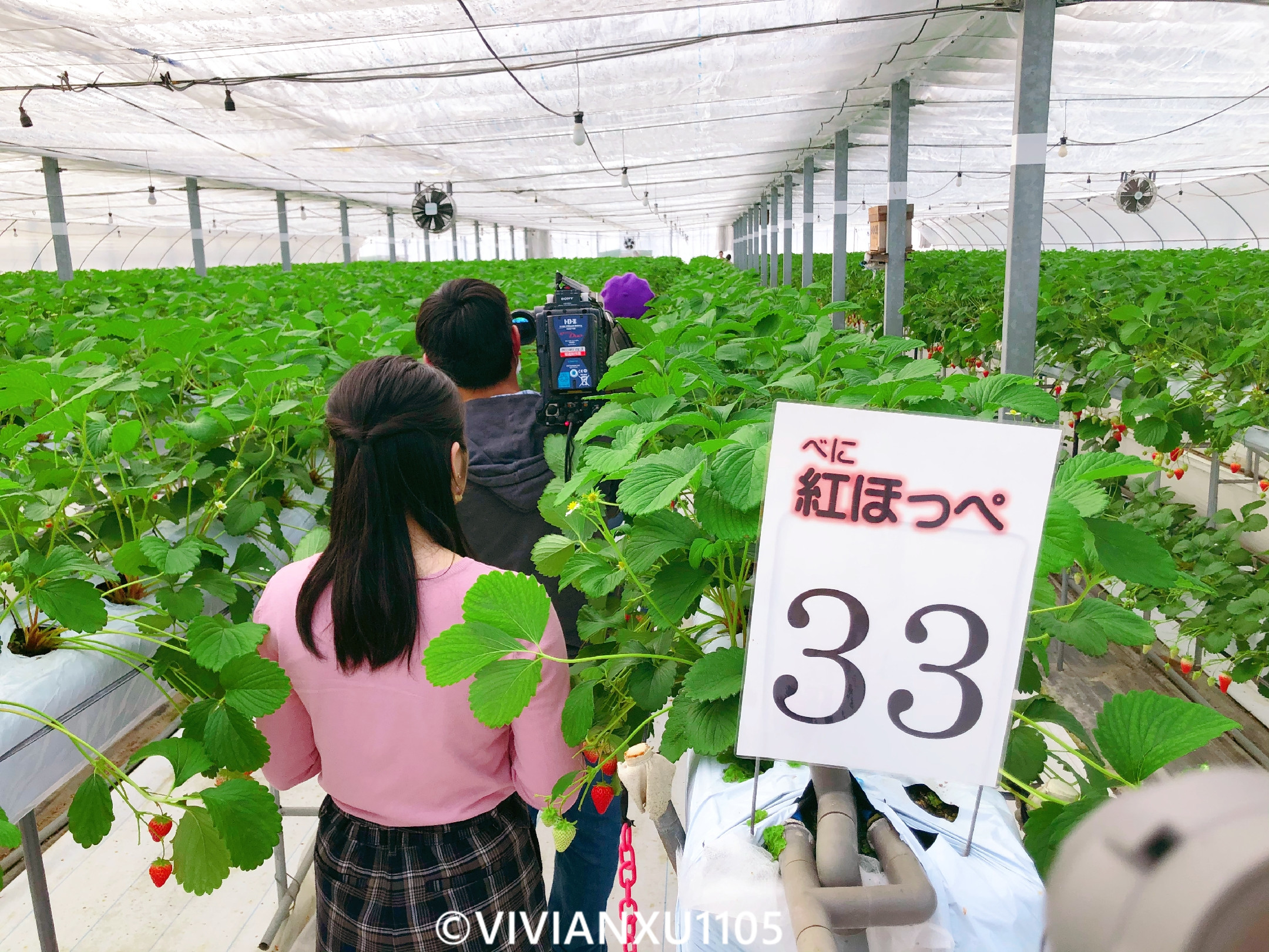 塑料母女日本东北深度游(秋田山形)