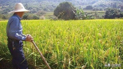 土地承包期满发包方要收回怎么办,农村土地承包期满后怎么处理