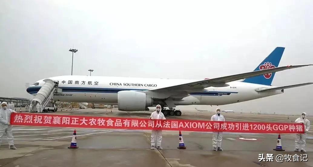 正大农牧食品及零售,正大农牧有限公司分布