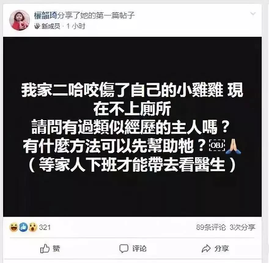 憨批二哈咬伤自己小丁丁，害得主人拍照求助还得打码