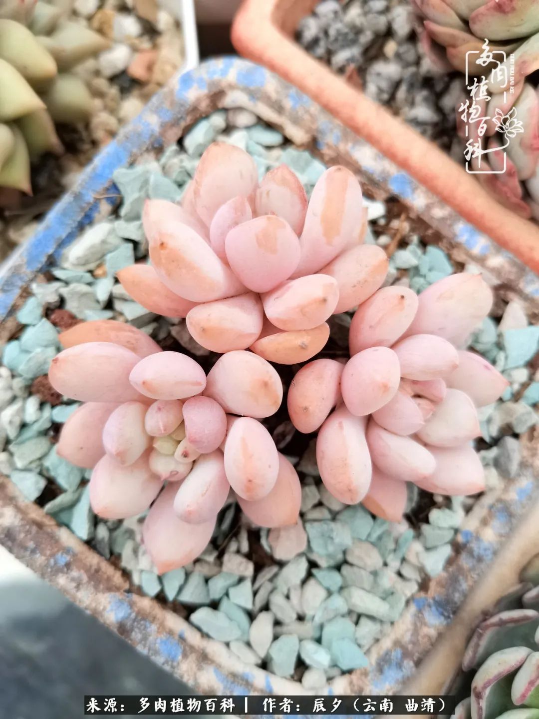 缂辩换鏃栨棊钁宠暏鐢熼,缂辩换鏃栨棊钁宠暏鐢熼鍑哄