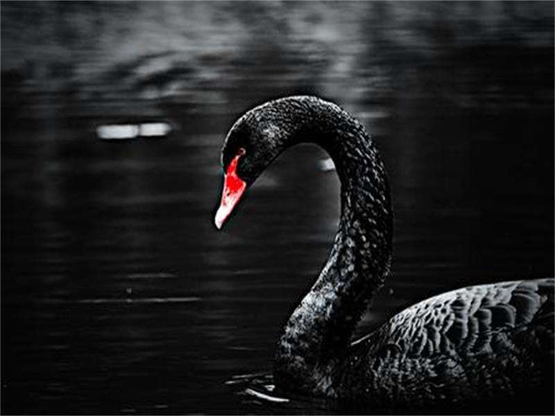 逆袭屌丝的正确方法,屌丝逆袭的五大方法