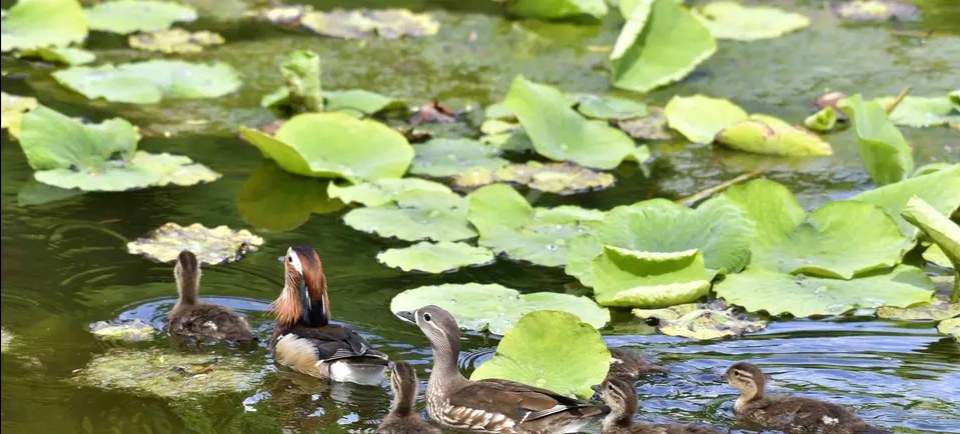 一次难忘的培训小故事,培训难忘的一件事