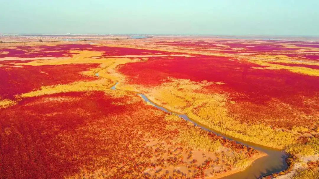 山东东营位置,这就是东营