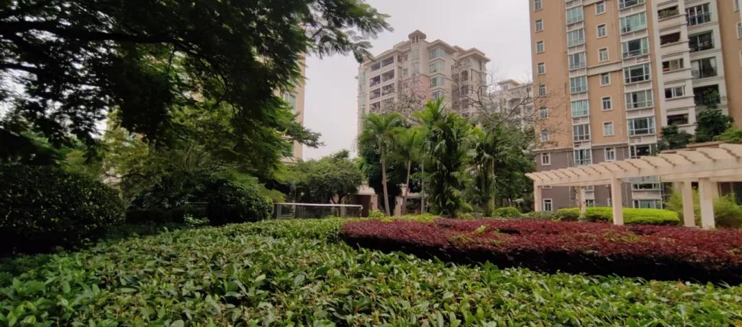 踩盘嘉樾庄,广州番禺市桥鸿禧华庭二手房价