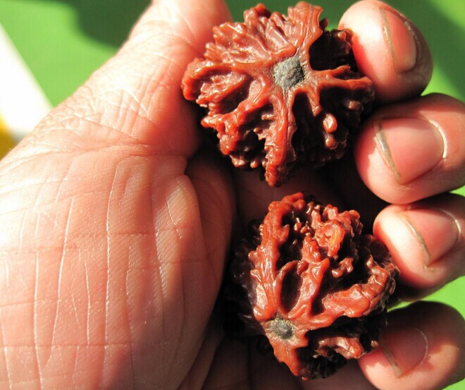 什么是文玩核桃,什么是文玩核桃反碱