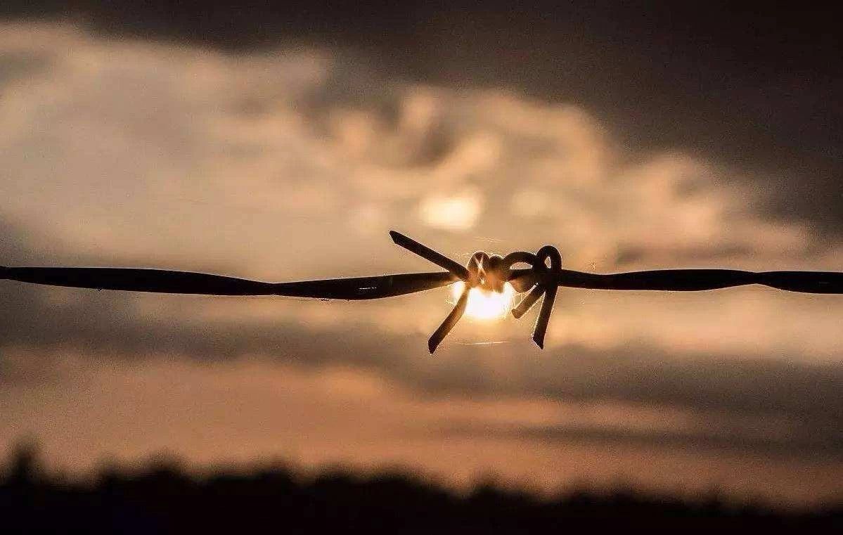 农牧板块最新预期,农业养殖板块后市分析