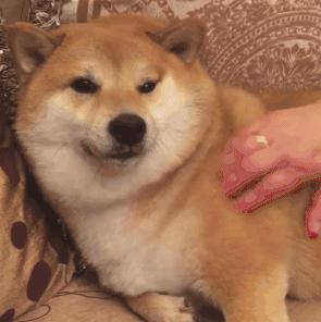 那些包装很丑却很好用的老牌国货,老牌国货护肤品包装