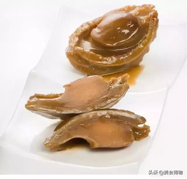 鲍鱼大全,带你认知全世界的鲍鱼(下)