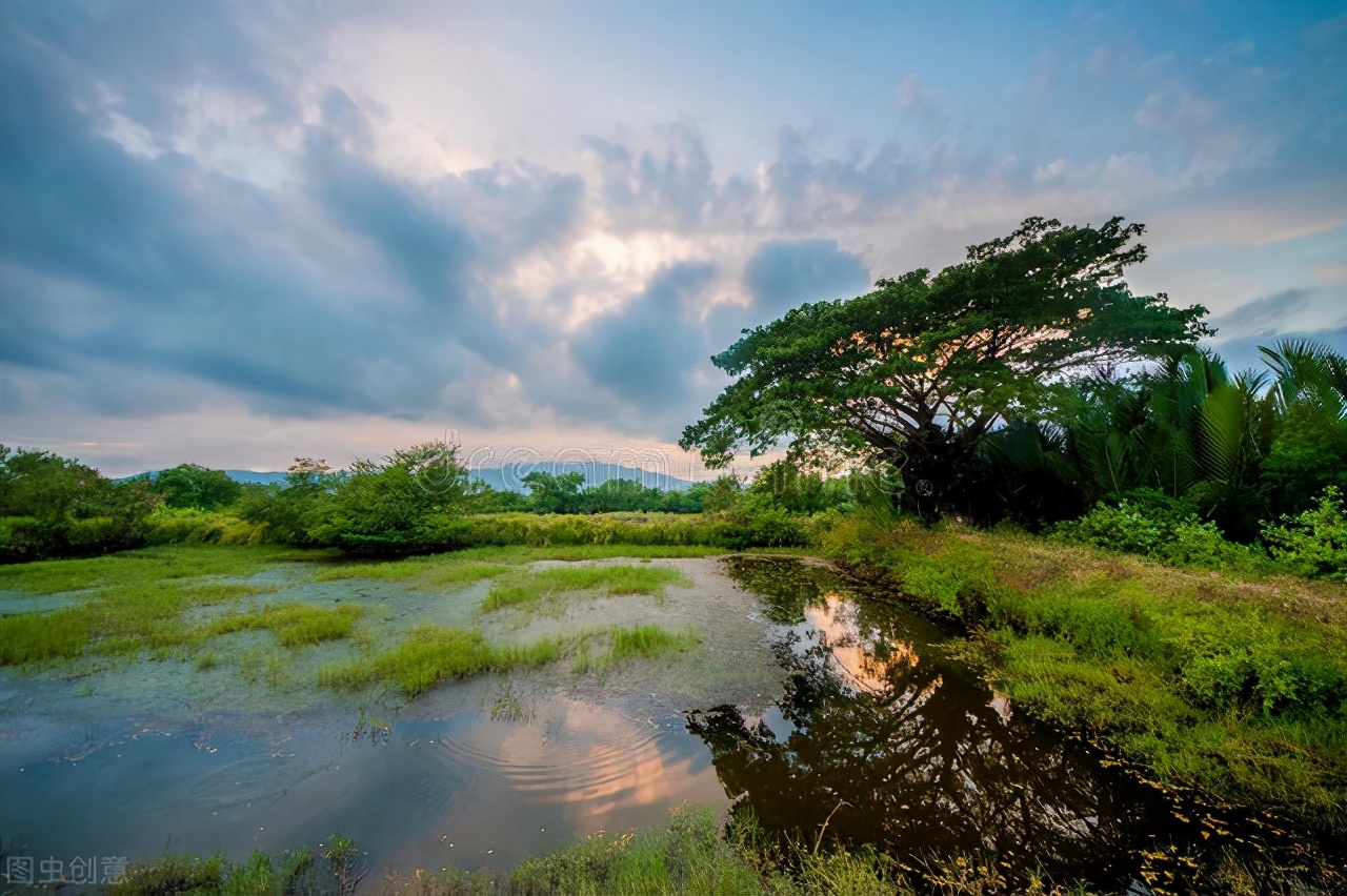 下雨过后钓鲶鱼最好的钓点,钓鲶鱼的神仙钓点在哪里