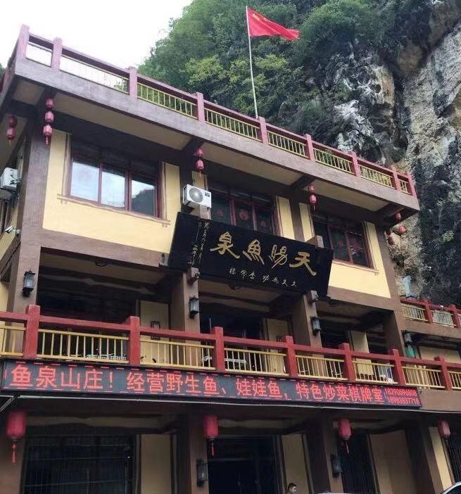 重庆地下鱼泉涌出大量鱼,重庆农户挖出神秘鱼泉在什么地方