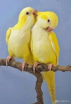 今天3月10，我的妈呀！谁编的，太好笑了，给群里乐一乐