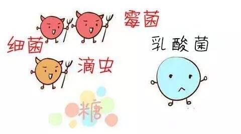 香港九价是不是水货,香港九价正规吗