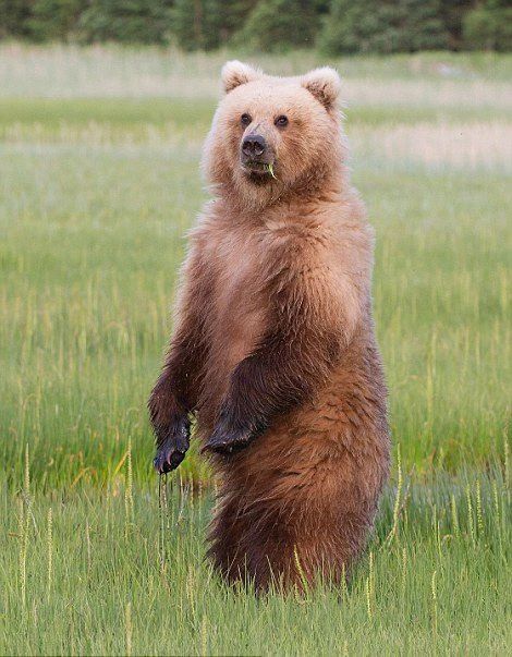 久坐伤肉下一句,久坐伤肉的治疗方法