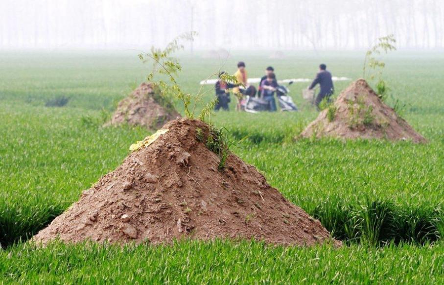 坟头塌子孙稀什么意思,坟头塌消子孙稀是啥意思