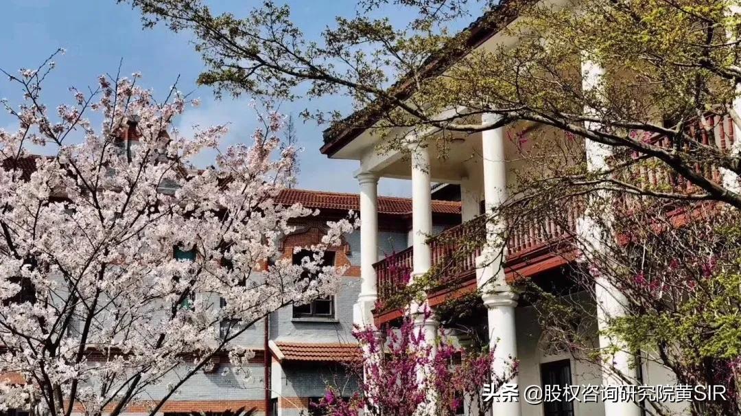 有限公司可以用ab股股权架构,股权结构和股权架构