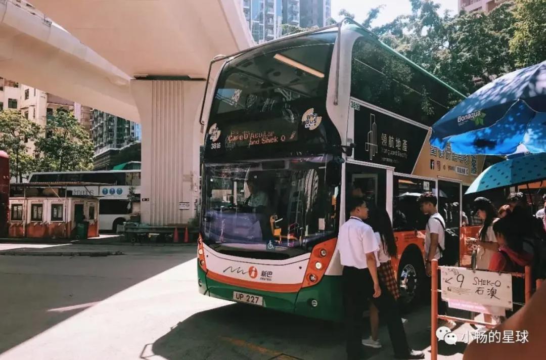 喜宝被老头打后续,喜宝喜欢石澳岛吗