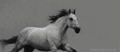 扎马步的方法和技巧,扎马步不标准姿势