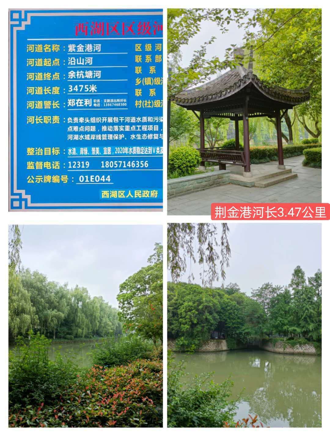 紫金港绿道钓鱼,紫金港河钓鱼