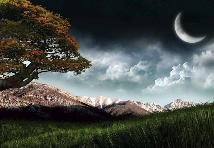 成为了最讨厌的人该怎么去安慰,心平气和面对一个讨厌的人