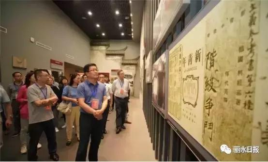 红色新丽水,红色浙西南央视