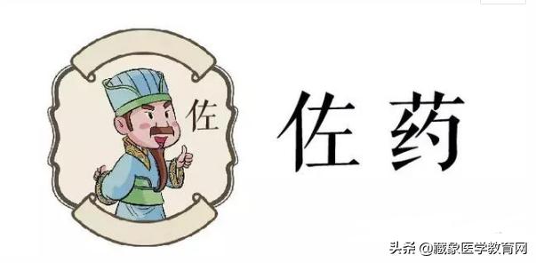 中医药的君臣佐使怎么讲解,中医药方君臣佐使的使一般是什么