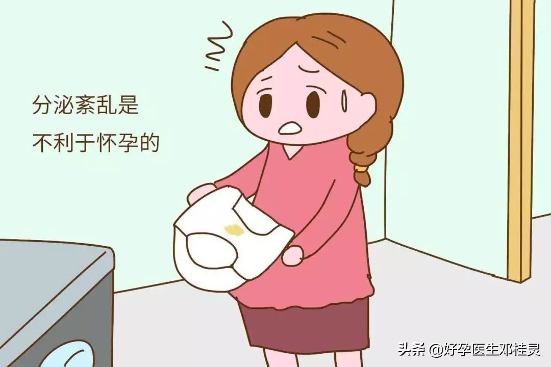 孕前检查的宝妈,龙凤胎孕妇体检