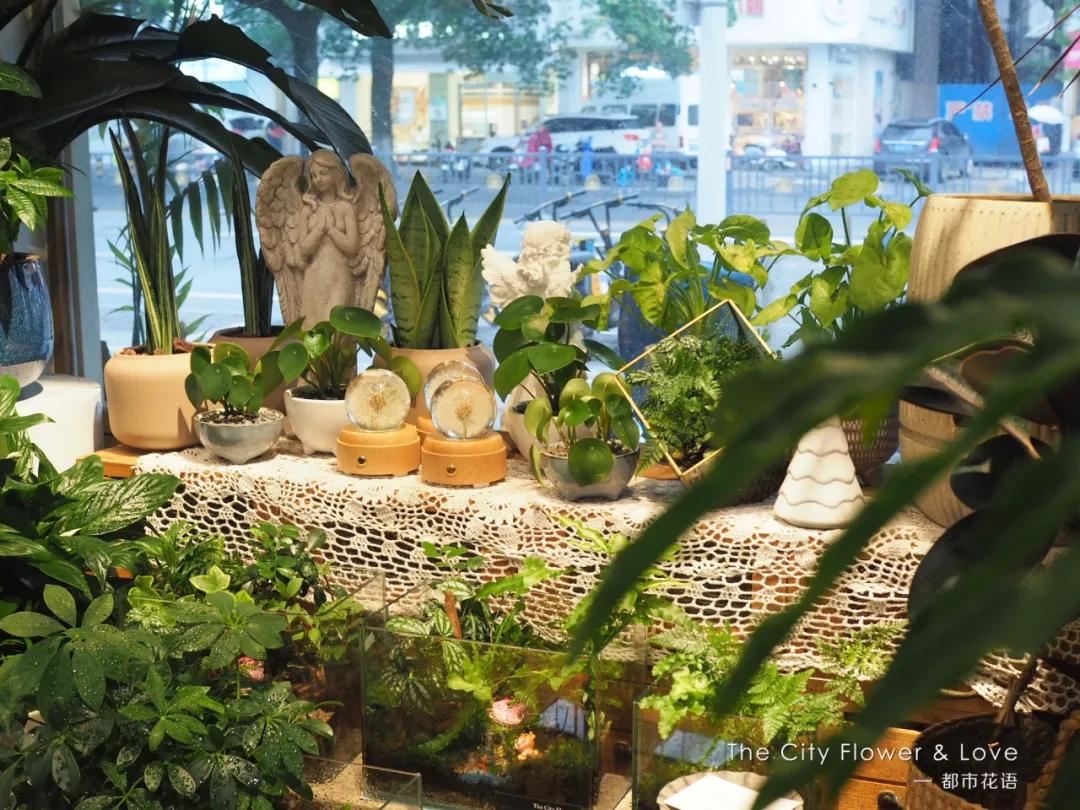 都市花语:从10平方米的小花店,到年营业额300万的生活美学馆