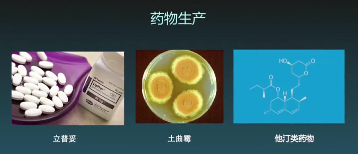 生物可降解塑料前景,生物可降解塑料是什么原料