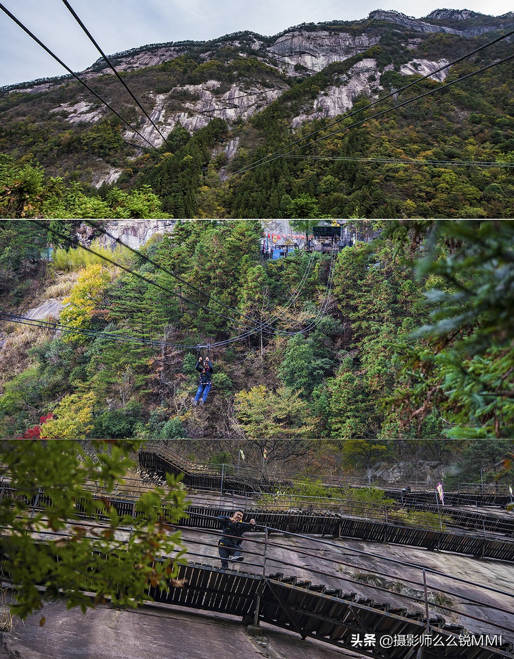 皖西大别山原始森林,华东最后一座原始森林