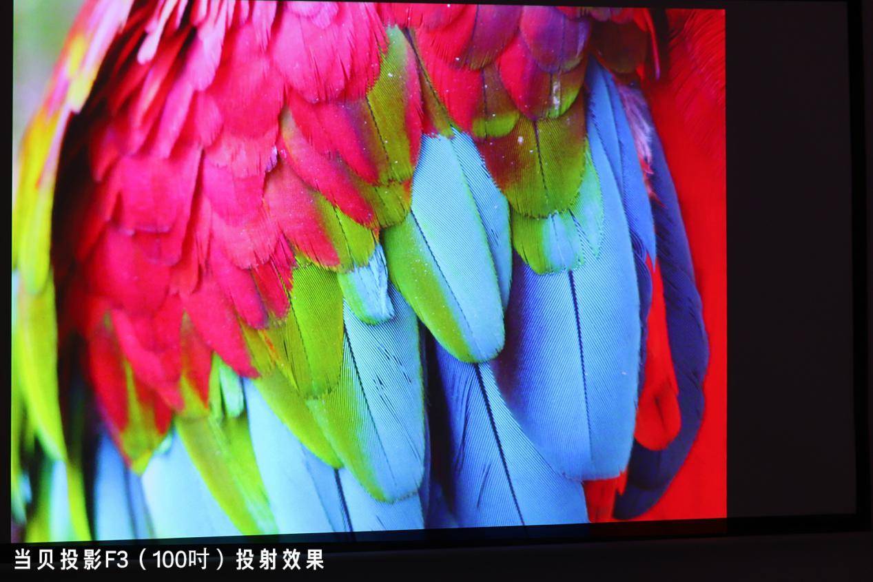 萌新扫盲贴：家用投影仪与商务投影仪的区别在那，别傻傻分不清