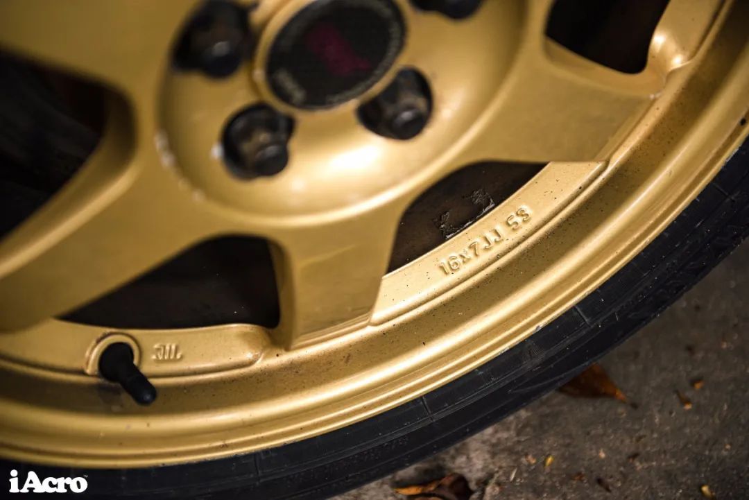 全代翼豹,翼豹各款