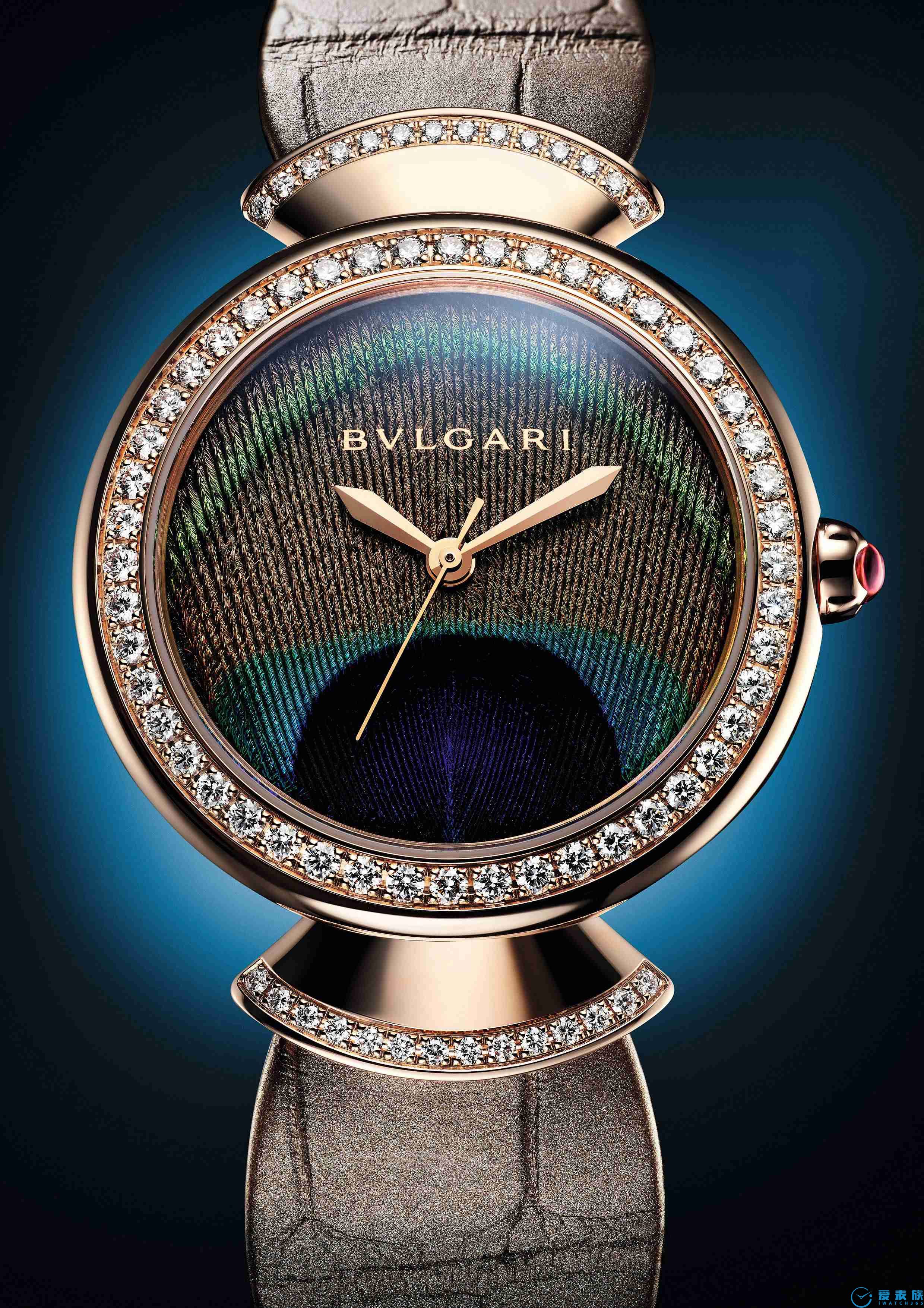 天生是主角，绽放雀之光彩BVLGARI宝格丽Divas’Dream系列腕表