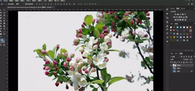 怎么抠图教你几种好用的抠图方法,如何抠图推荐三种常用抠图方法
