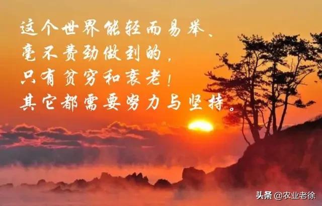 经销商怎么做自己的品牌,经销商要做大品牌还是小品牌