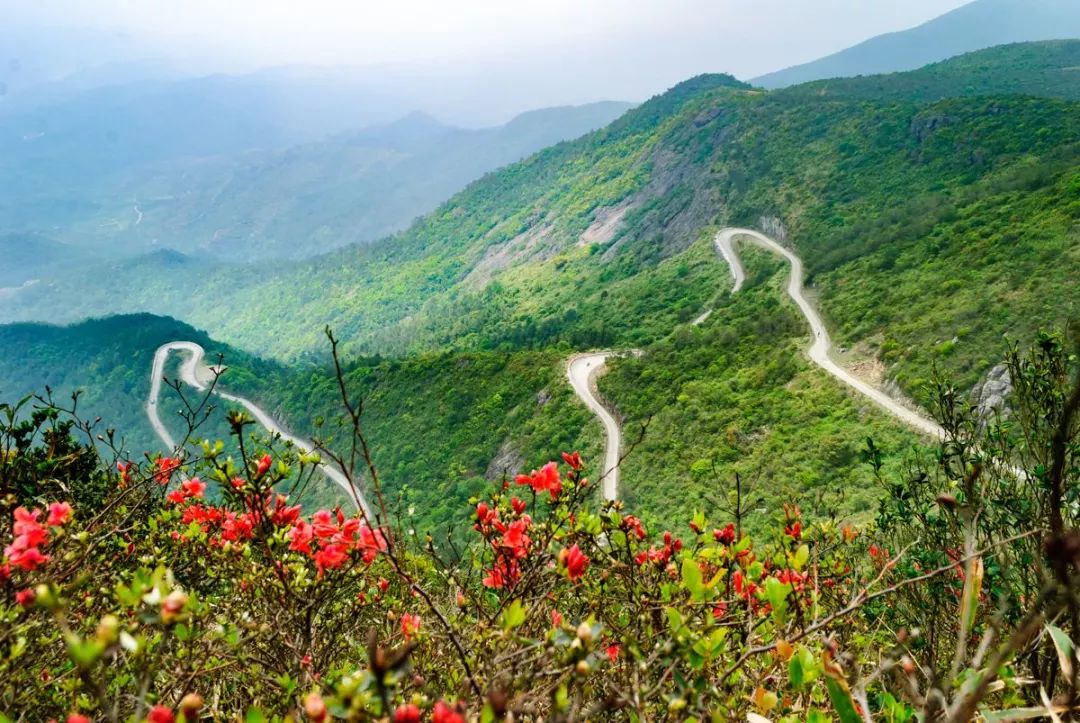 你好，我叫厦门，这是我的简历