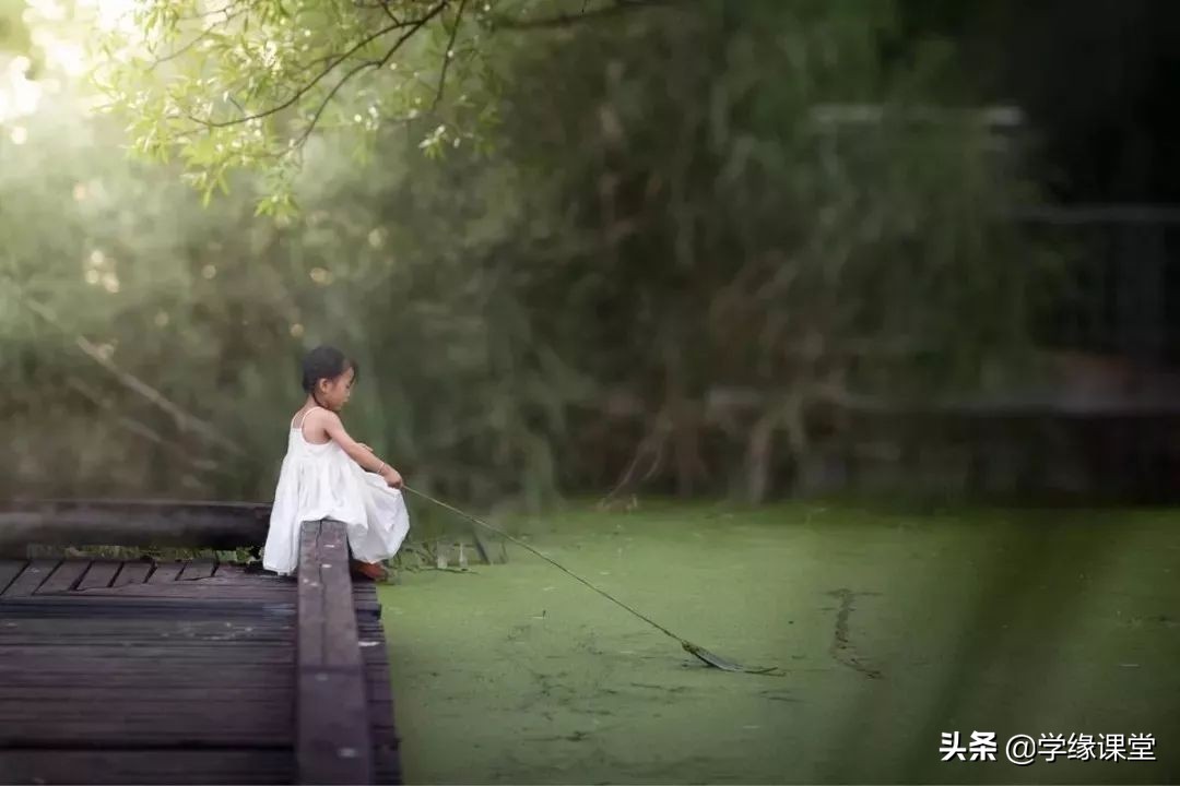 教育专家李玫瑾案件,教育专家李玫瑾不要越位