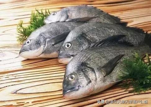 开海了怎么选海鲜,开海了囤点什么海鲜合适