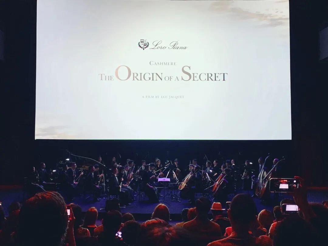 “穿着1万6的羊绒衫上班,老板夸我像章泽天”