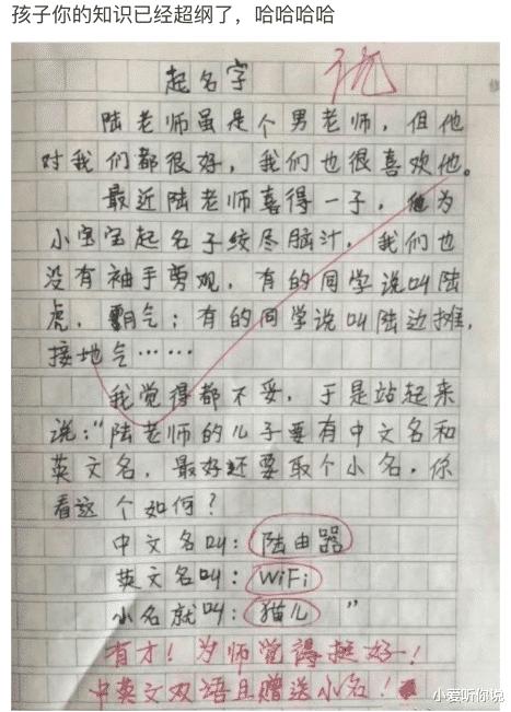 老公最喜欢去的水果店,果然很新鲜啊~笑到肚子疼