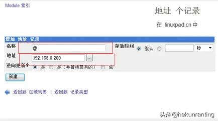 企业内网不搭建dns服务可以吗,局域网dns服务器架设