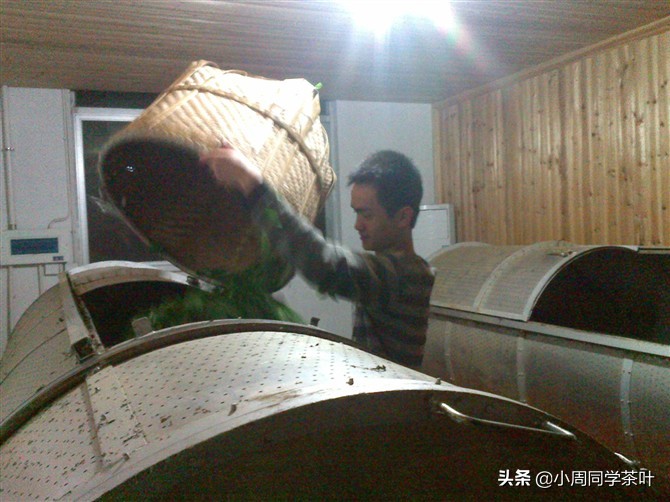 何为大红袍？该如何选购？——小周同学说茶