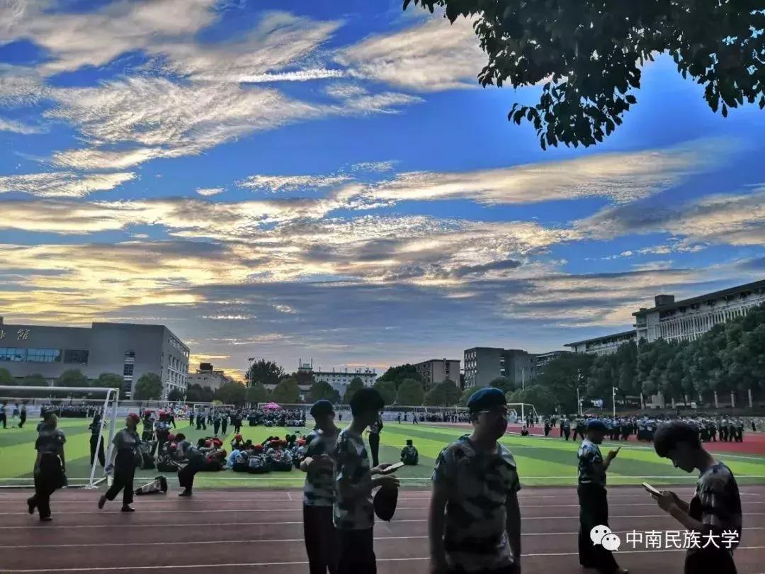 高考志愿填报中南大学,为啥高考志愿倾向报本省