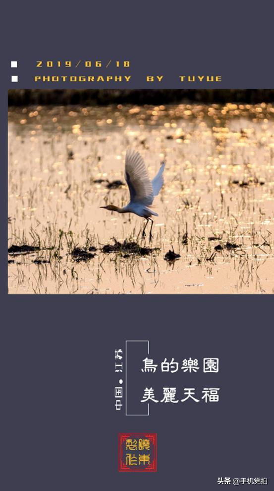 手机图片怎么添加中式印章,如何给图片加字印章