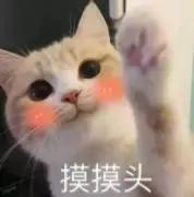 我竟然用一支口红的钱,承包了超市的半个货架?!