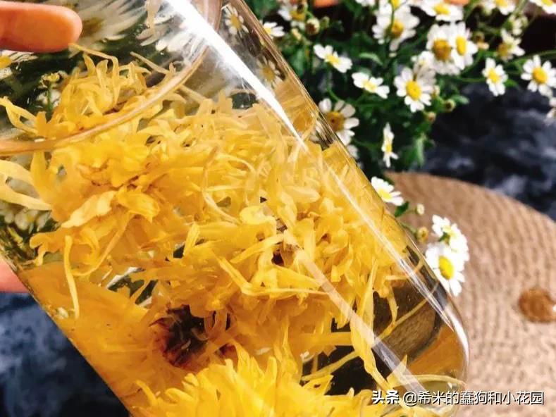 这几种花不仅美艳，还可以食用！学习李子柒把鲜花做成精美菜肴